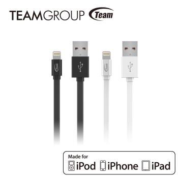 TEAM十銓科技 Apple原廠認證充電/傳輸線 TWC08