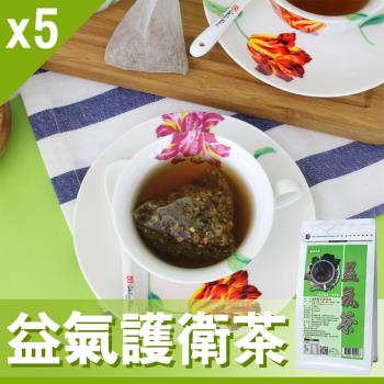 【Mr.Teago】益氣護衛茶/養生茶/養生飲-3角立體茶包-5袋/組(30包/袋)