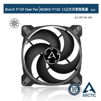 【ARCTIC】BIONIX P120 12公分共享旋風扇 灰色