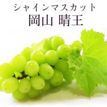 果物樂園-日本岡山晴王麝香葡萄1房禮盒(550-600g/串)