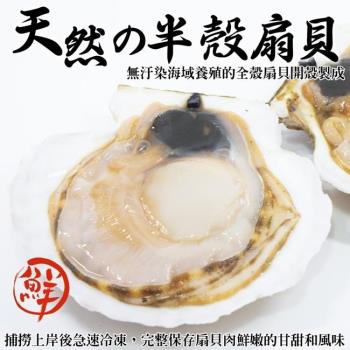 海肉管家-生鮮半殼扇貝6包(每包500g±10%)