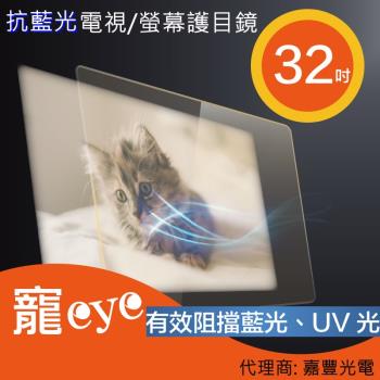 32吋 抗藍光液晶電視/螢幕護目鏡 (SLY-B32)