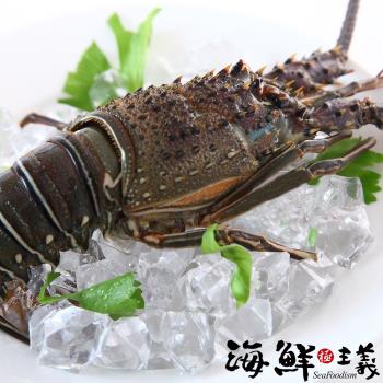 【海鮮主義】極鮮生凍青龍蝦(5隻/組;約300g/隻)