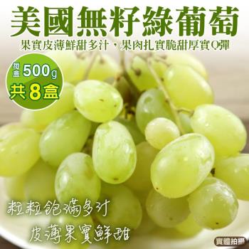 果物樂園-美國無籽綠葡萄8盒(約500g/盒)