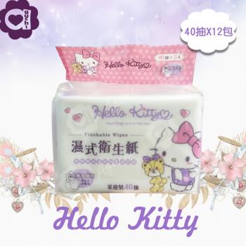 Hello Kitty 凱蒂貓 濕式衛生紙 40 抽 X 12 包 家庭號組合包 可安心丟馬桶 弱酸性配方適合特殊護理