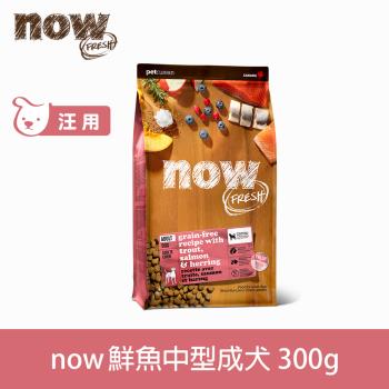 Now! 鮮魚無穀天然糧 成犬配方 300克(100克3包替代出貨)