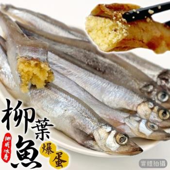海肉管家-挪威/冰島柳葉魚15包(每包約150g±10%)