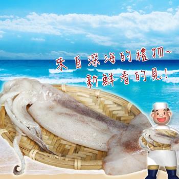 【賣魚的家】鮮凍Q彈魷魚 3包組(350g±3%/2尾/包)-共6尾