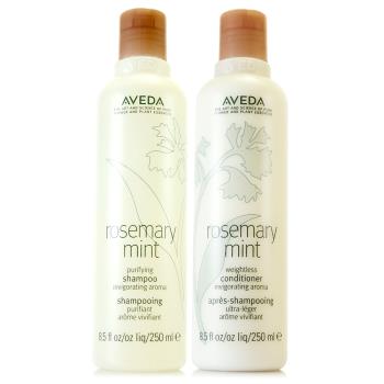 AVEDA 迷迭薄荷洗髮精250ml+潤髮乳250ml (正統公司貨)