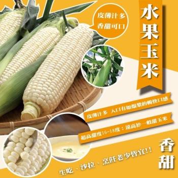 果農直配-日本品種水果玉米(10斤±10%/含箱重)