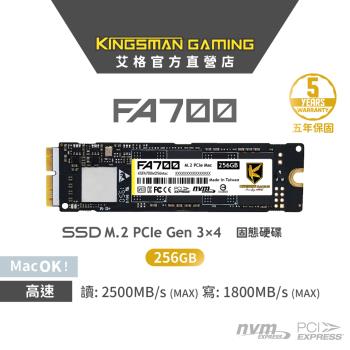 【AITC】艾格 FA700 M.2 Mac 2280 PCIe NVMe SSD 256GB 固態硬碟