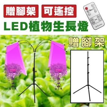 【贈腳架】【ROWA樂華】LED植物生長燈 植物燈 生長燈 USB 夾式 遙控 可調光 蔬菜