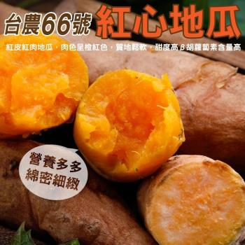 果物樂園-台農66號紅心地瓜(約10斤±10%)