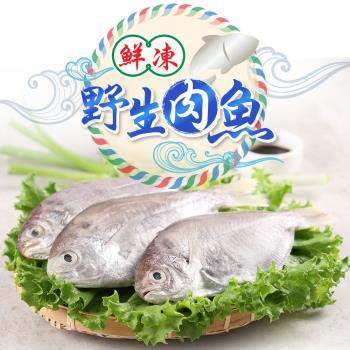 太平洋野生肉魚10包(180g/包;2尾裝)