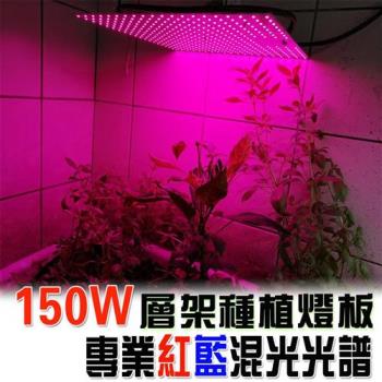 君沛 植物燈板 150瓦 量子板 植物層架燈板 紅藍混光 植物燈板 裸版 led燈板