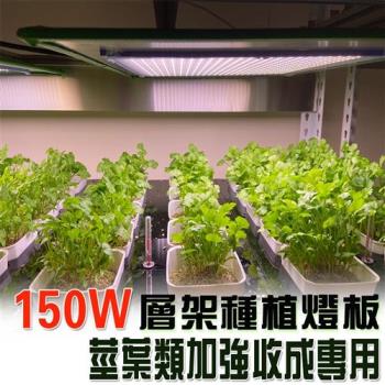 君沛 植物燈板 150瓦 量子板 植物層架燈板 加強型 全光譜 植物燈板 裸版 led燈板