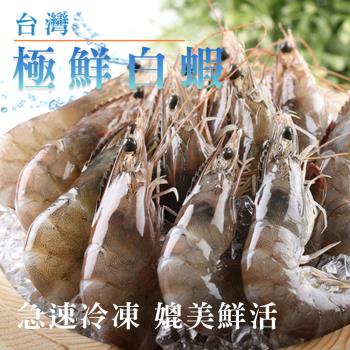 嘉義布袋急凍鮮活白蝦(250g/盒)