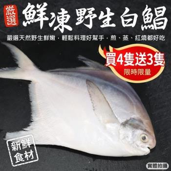 【買4送3】漁村鮮海-鮮嫩野生白鯧魚共7尾(約220-280g/尾)