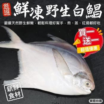【買1送1】漁村鮮海-鮮嫩野生白鯧魚共2尾(約220-280g/尾)