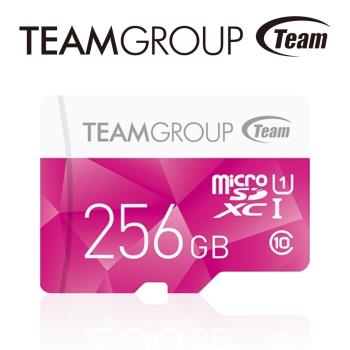 TEAM十銓科技 Color Card Micro SDXC UHS-I 記憶卡 256GB