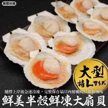 三頓飯-鮮美半殼鮮凍大扇貝5包(500g/包)