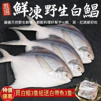 漁村鮮海-鮮嫩野生白鯧魚共3尾(約220-280g/尾)【送白帶魚】
