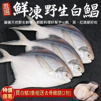 漁村鮮海-鮮嫩野生白鯧魚共3尾(約220-280g/尾)【送去骨雞腿】