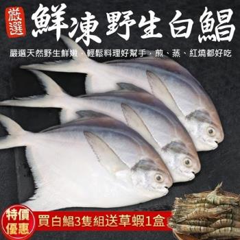 漁村鮮海-鮮嫩野生白鯧魚共3尾(約220-280g/尾)【送草蝦】