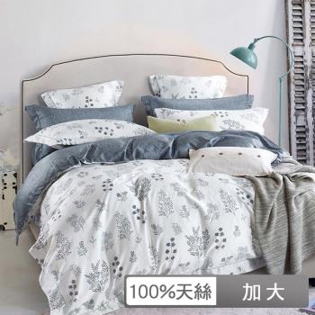 【貝兒居家生活館】100%天絲四件式兩用被床包組 (加大雙人/簡愛)
