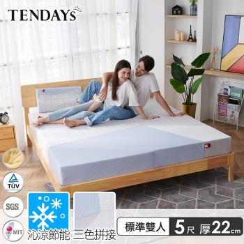 【TENDAYS】包浩斯紓壓床墊5尺標準雙人(22cm厚 記憶床)