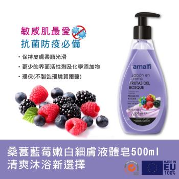 【CLIVEN香草森林】桑葚藍莓嫩白細膚液體皂2件組(500mlx2)