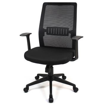 【Aaronation 愛倫國度】低背護腰電腦椅辦公椅(AM-842)