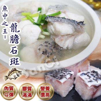【賣魚的家】產地嚴選台灣龍膽石斑魚塊5包組 (300g±3%/包)