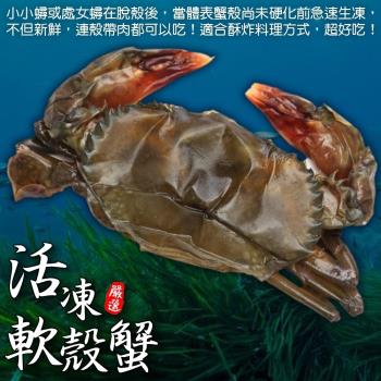 漁村鮮海-嚴選冷凍軟殼蟹1盒(8-10隻_約600g/盒)