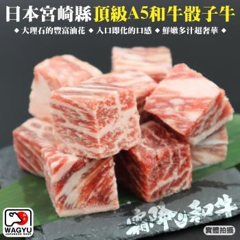 海肉管家-日本宮崎縣頂級A5和牛骰子牛3包(約120g/包)
