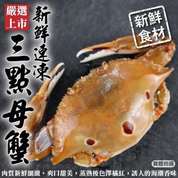 海肉管家-活凍野生三點蟹母蟹6包共18隻(3隻_約500g/包)