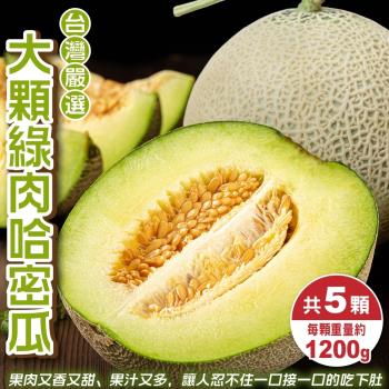 果物樂園-台灣嚴選大顆綠肉哈密瓜(約1200g/顆)x5顆