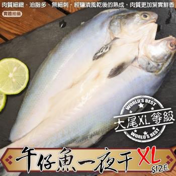 漁村鮮海-台灣午仔魚一夜干XL號1尾(約260-300g/尾)