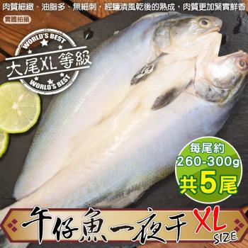 漁村鮮海-台灣午仔魚一夜干XL號5尾(約260-300g/尾)