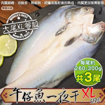 漁村鮮海-台灣午仔魚一夜干XL號3尾(約260-300g/尾)