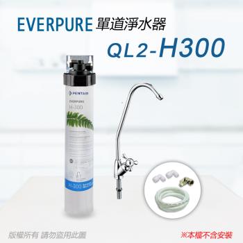 【Everpure】美國原廠 QL2-H300單道淨水器(自助型-含全套配件)