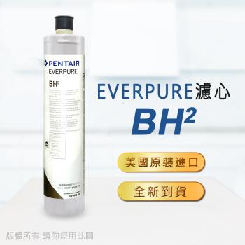 【Everpure】美國原廠平行輸入 BH2濾心
