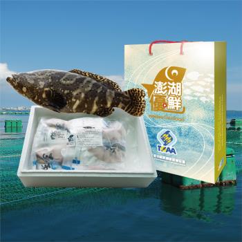 (天和鮮物)澎湖優鮮-龍虎斑全魚分切禮盒(3kg)