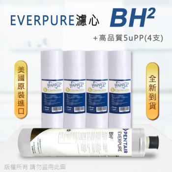 【Everpure】美國原廠平行輸入 BH2 濾心+高品質前置5uPP濾心(5支組)