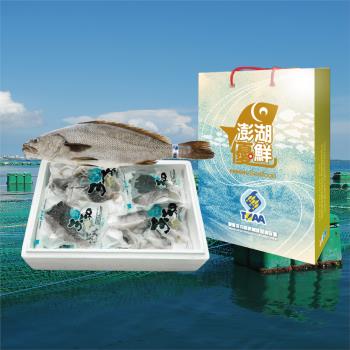 (天和鮮物)澎湖優鮮-海鮸魚全魚禮盒