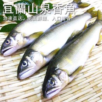 【歐嘉嚴選】特選宜蘭公香魚7尾組-980G