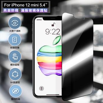 ACEICE for iPhone 12 mini 5.4吋 亮面防窺滿版玻璃保護貼-黑