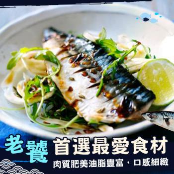 【歐嘉嚴選】挪威薄鹽鯖魚16片組(200~210g±10%/片，共16片)