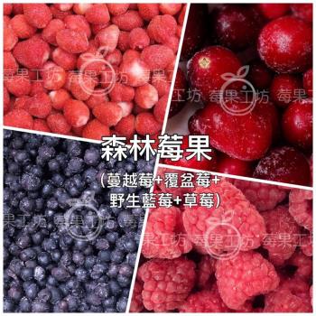 【莓果工坊】新鮮冷凍森林莓果 (綜合4種莓果)