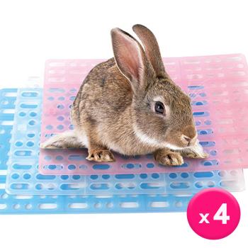 CARNO卡諾-小動物/兔用健康踏板 x4入(不挑色)